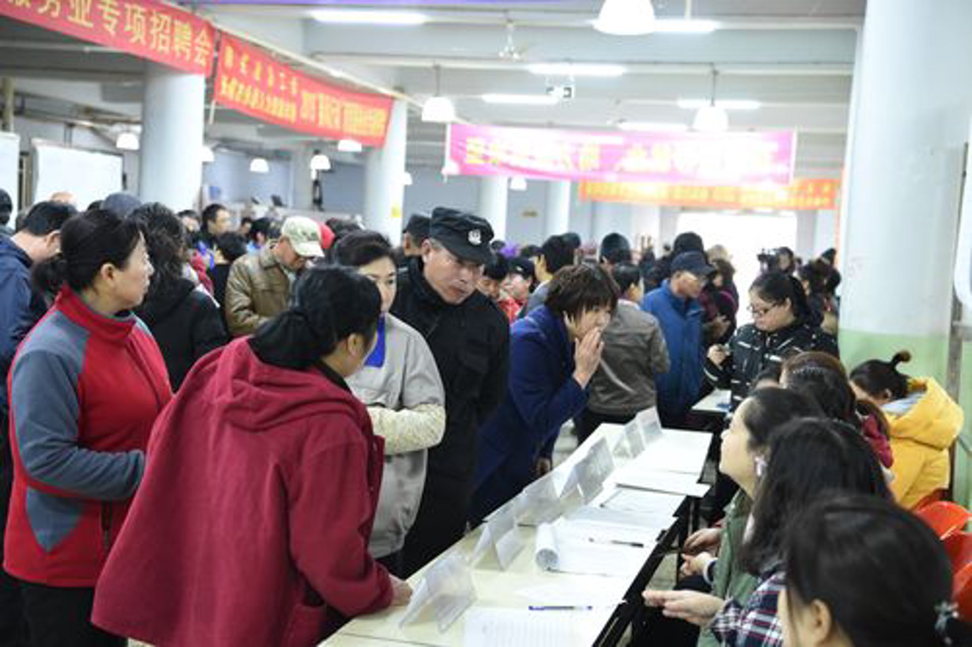 启日人力